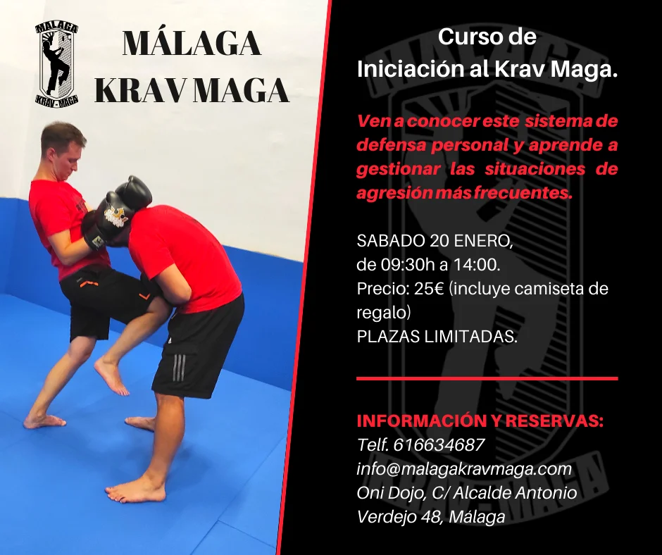 Curso de Iniciación Málaga Krav Maga